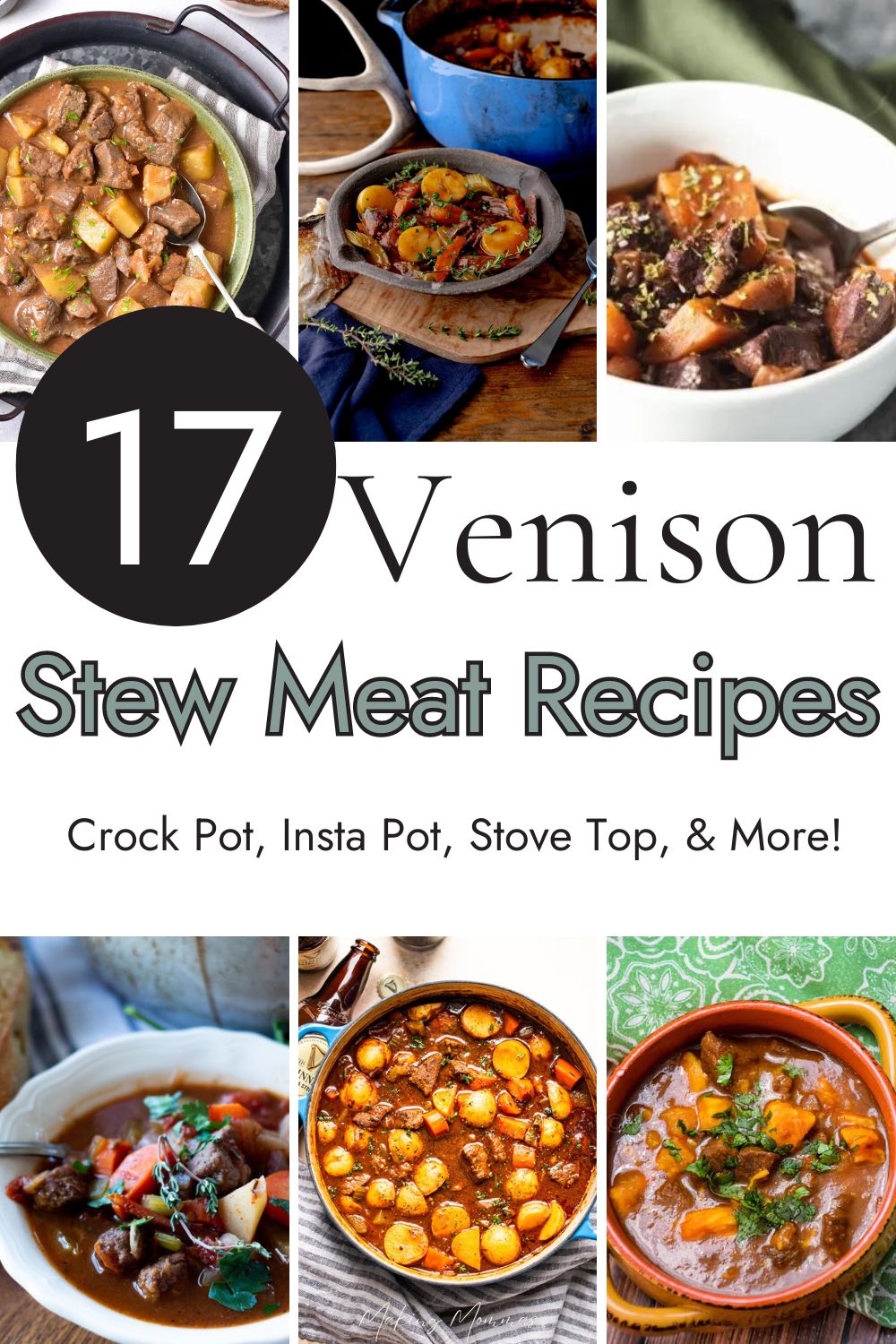 pin image of 17 venison stew meat recipes