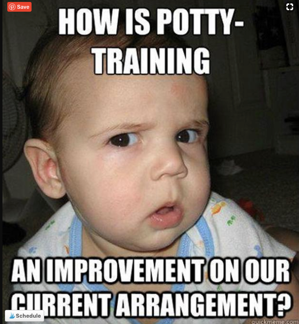 the secret to potty training your child:  have a sense of humor!