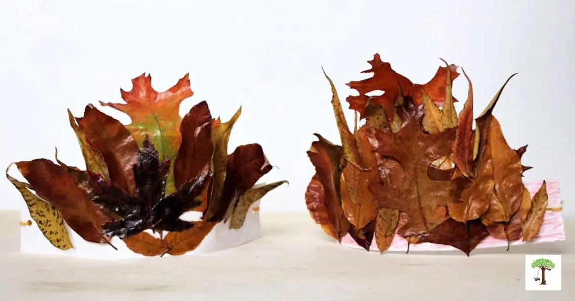 image of leaf crowns