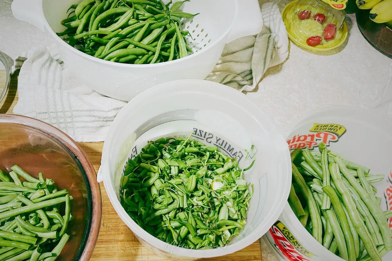 green beans in a bucket and strainer