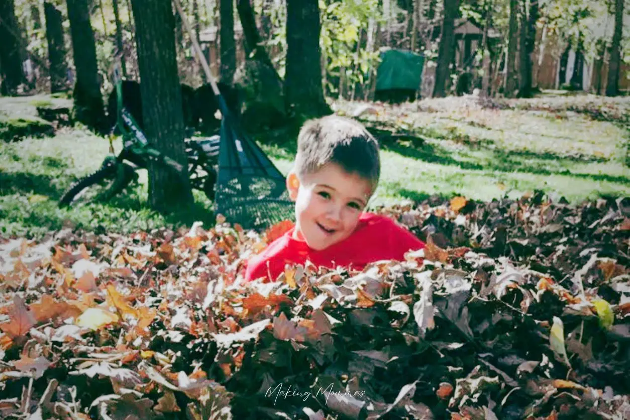 image of a little boy in a pile of leaves
