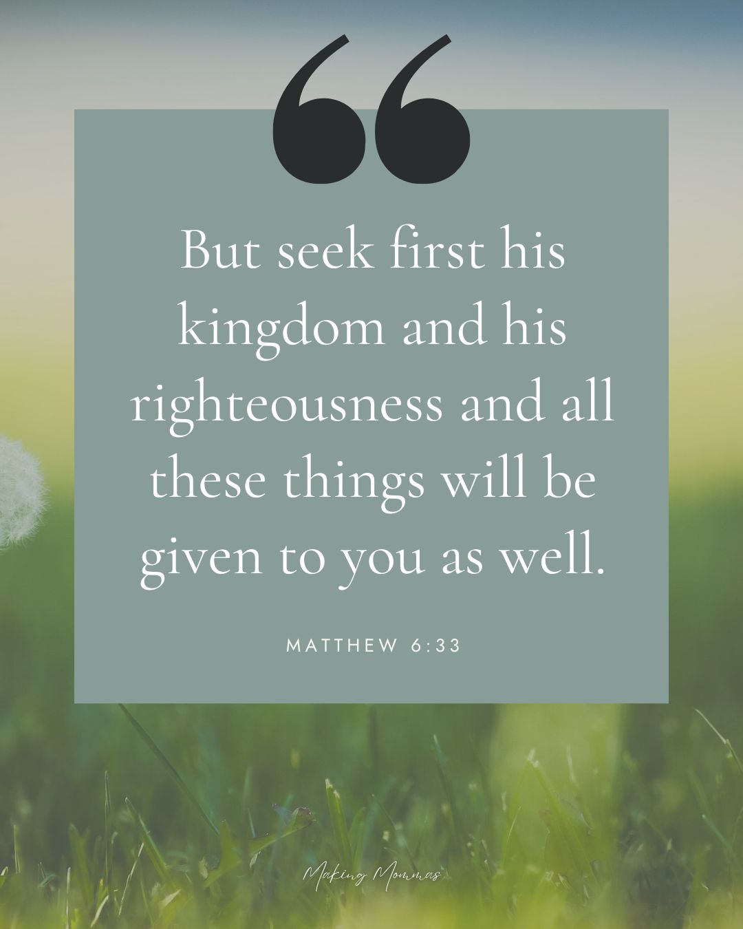 image of grass with one dandelion, and the words But seek first his kingdom and his righteousness and all these things will be given to you as well. Matthew 6:33