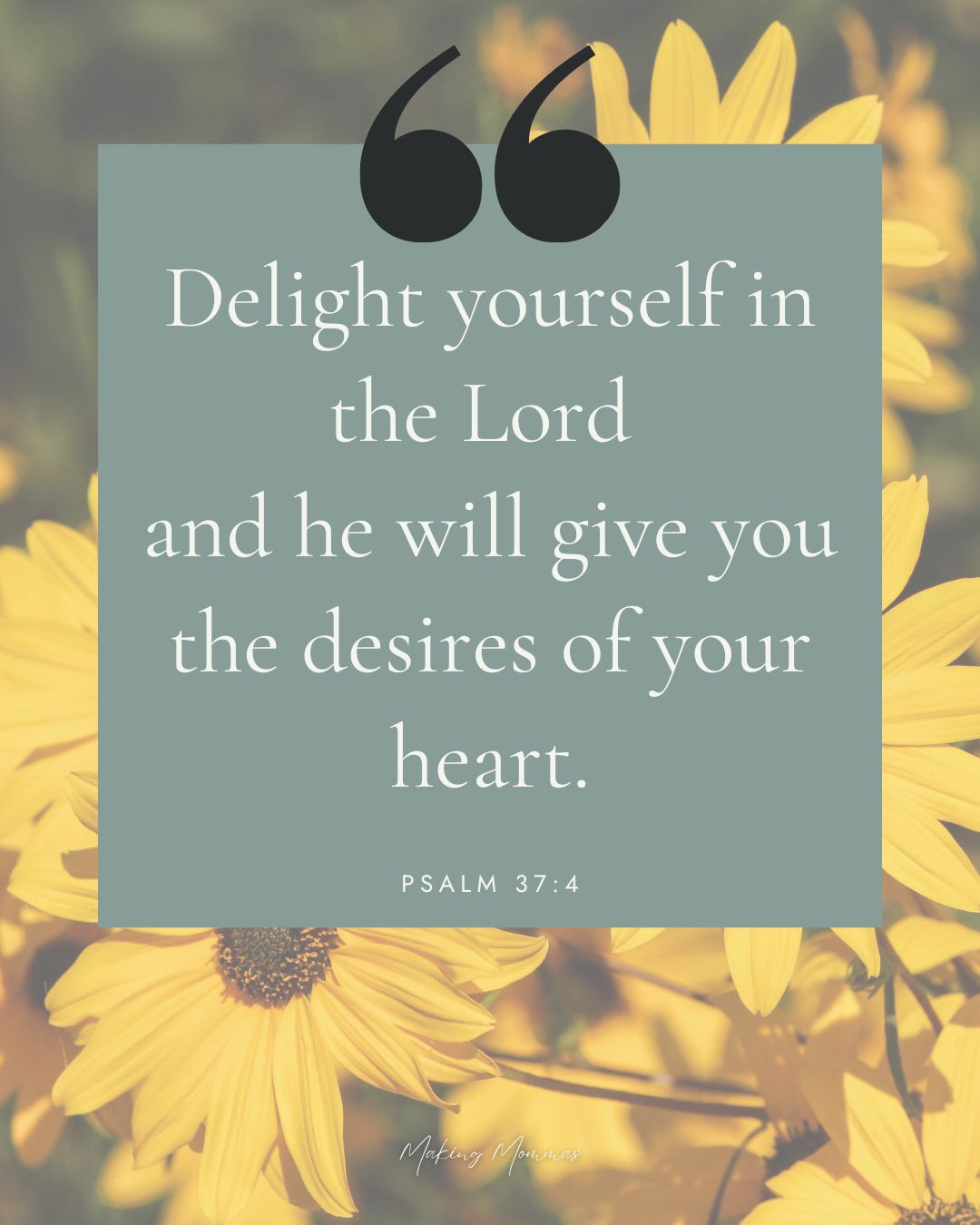 image of yellow daisies with the words Delight yourself in the Lord and he will give you the desires of your heart. Psalm 37:4