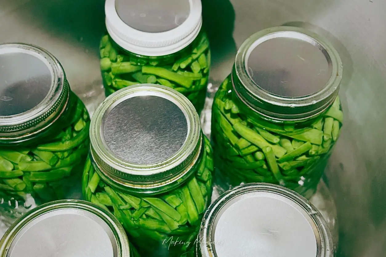 image of green beans in a pressure cooker