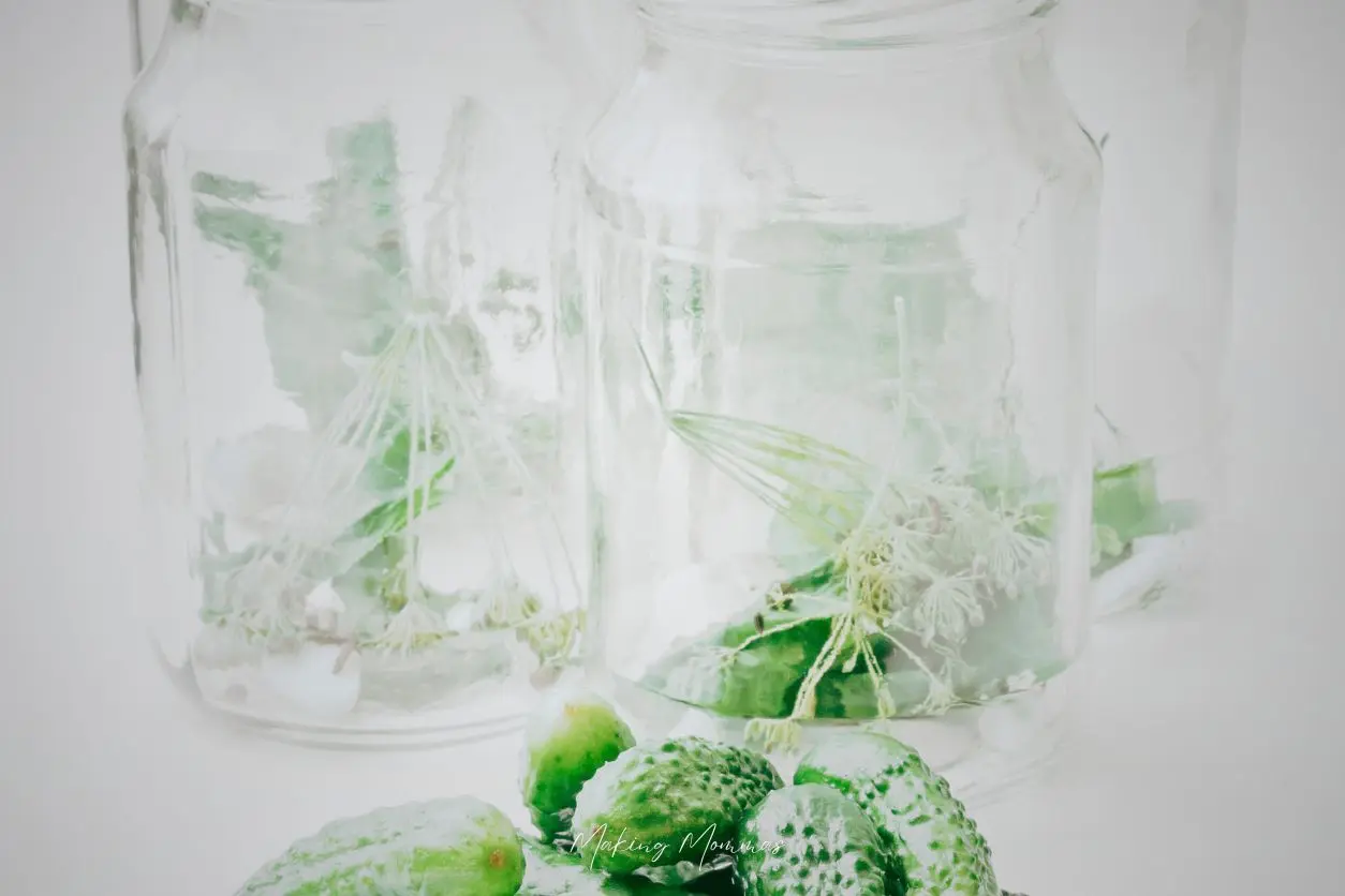 image of cucumbers with glass jars full of dill