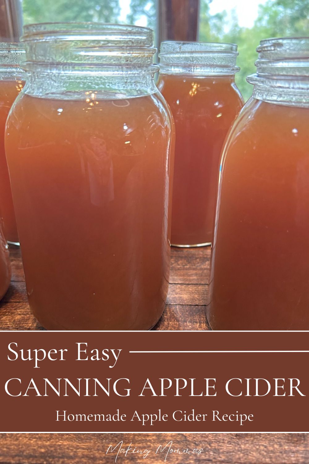 Three jars of homemade apple cider, ready for canning and preserving for cozy fall and holiday drinks.