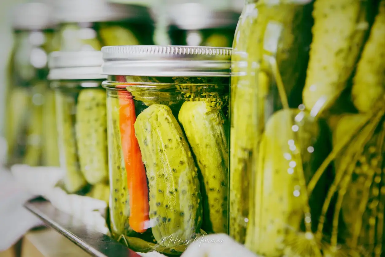 image of jars of pickles, with one bright orange carrot in one of them