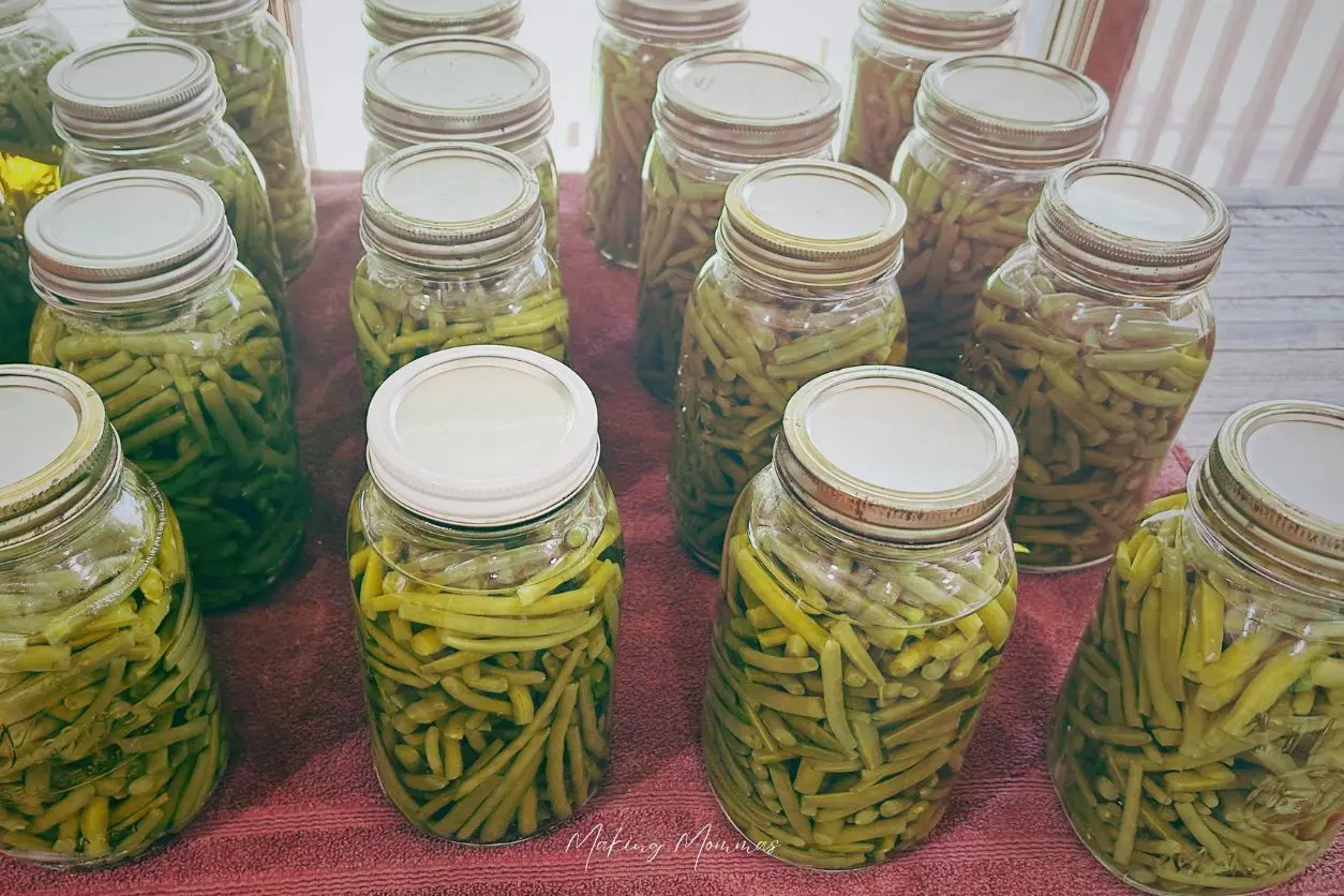 image of jars of canned green beans cooling on a towel