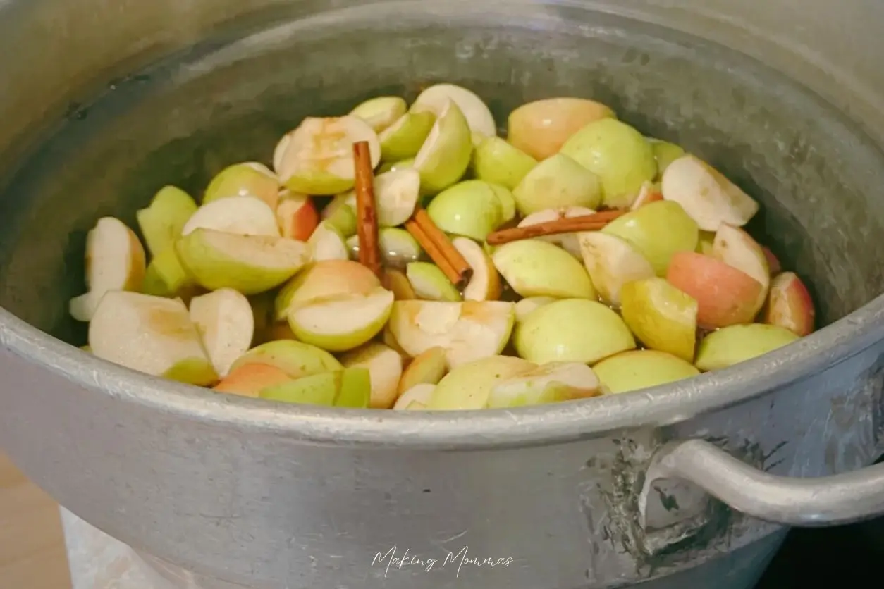 image of apples and cinnamon in a big pot