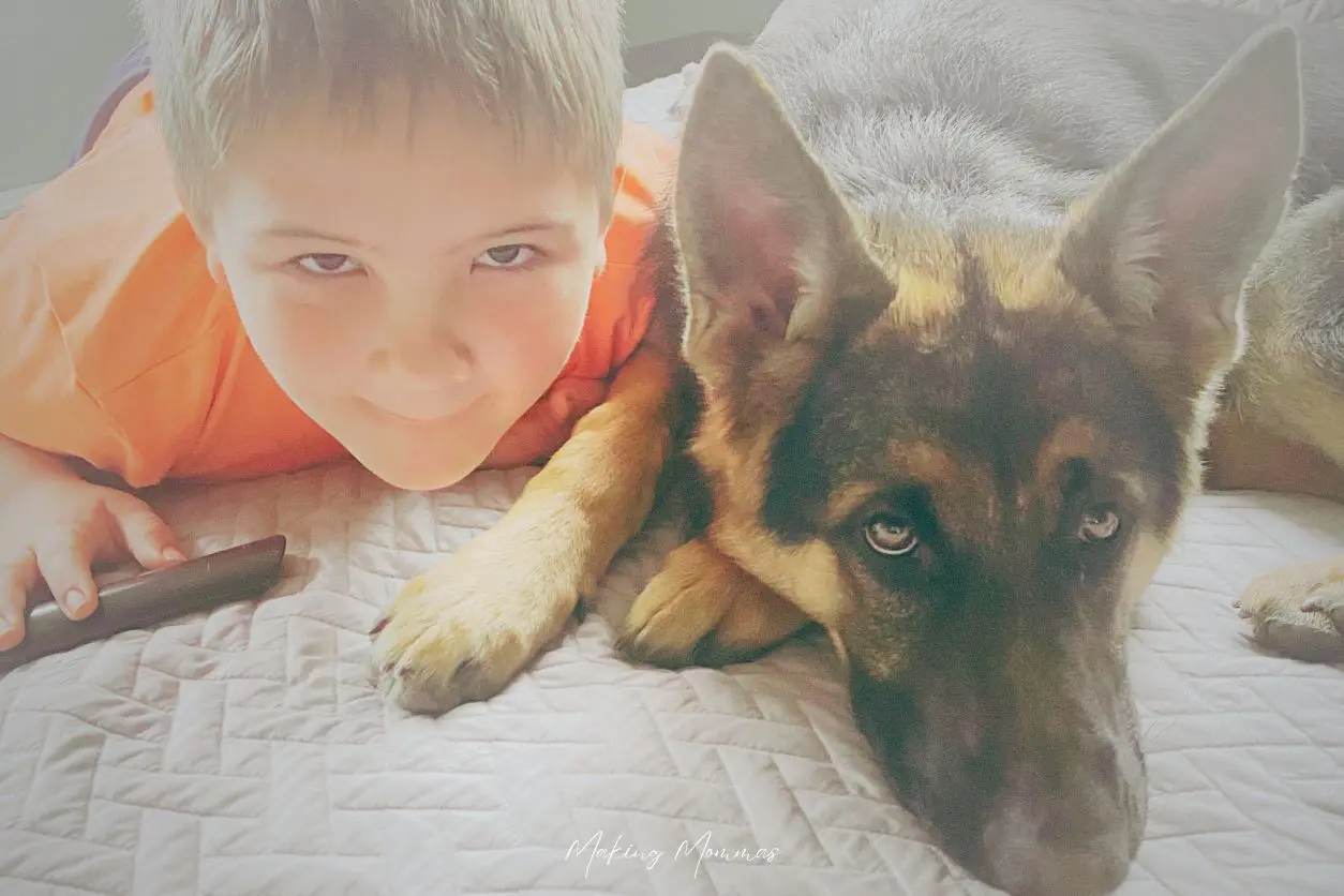 image of a boy and a dog on a bed