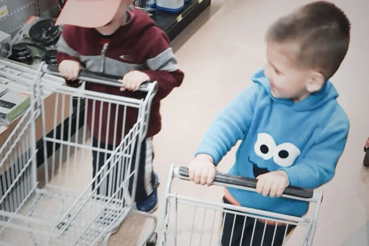 image of two little boys pushing little shopping carts