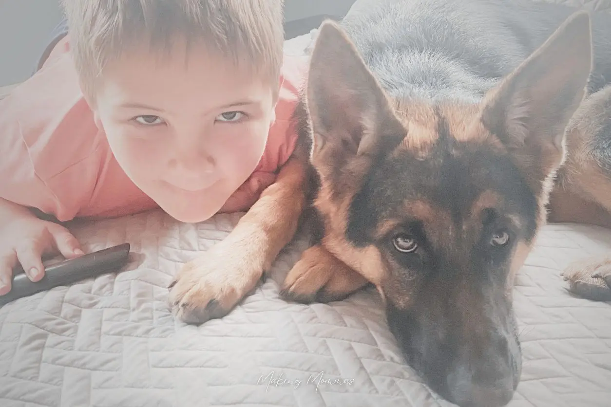 image of a boy and his dog lying on a bed