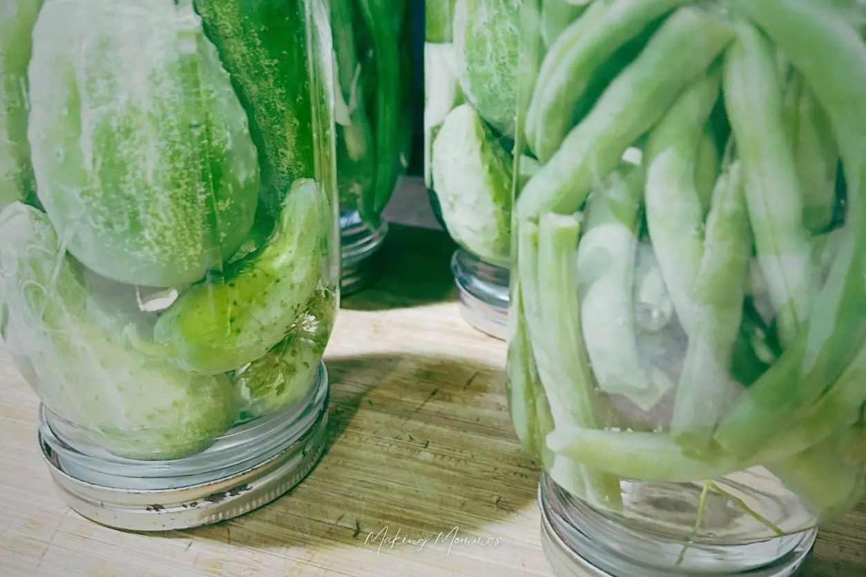 image of green beans and cucumbers pickling