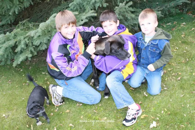 image of three boys with two dogs