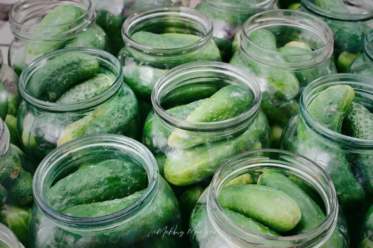 image of a ton of cucumbers in jars