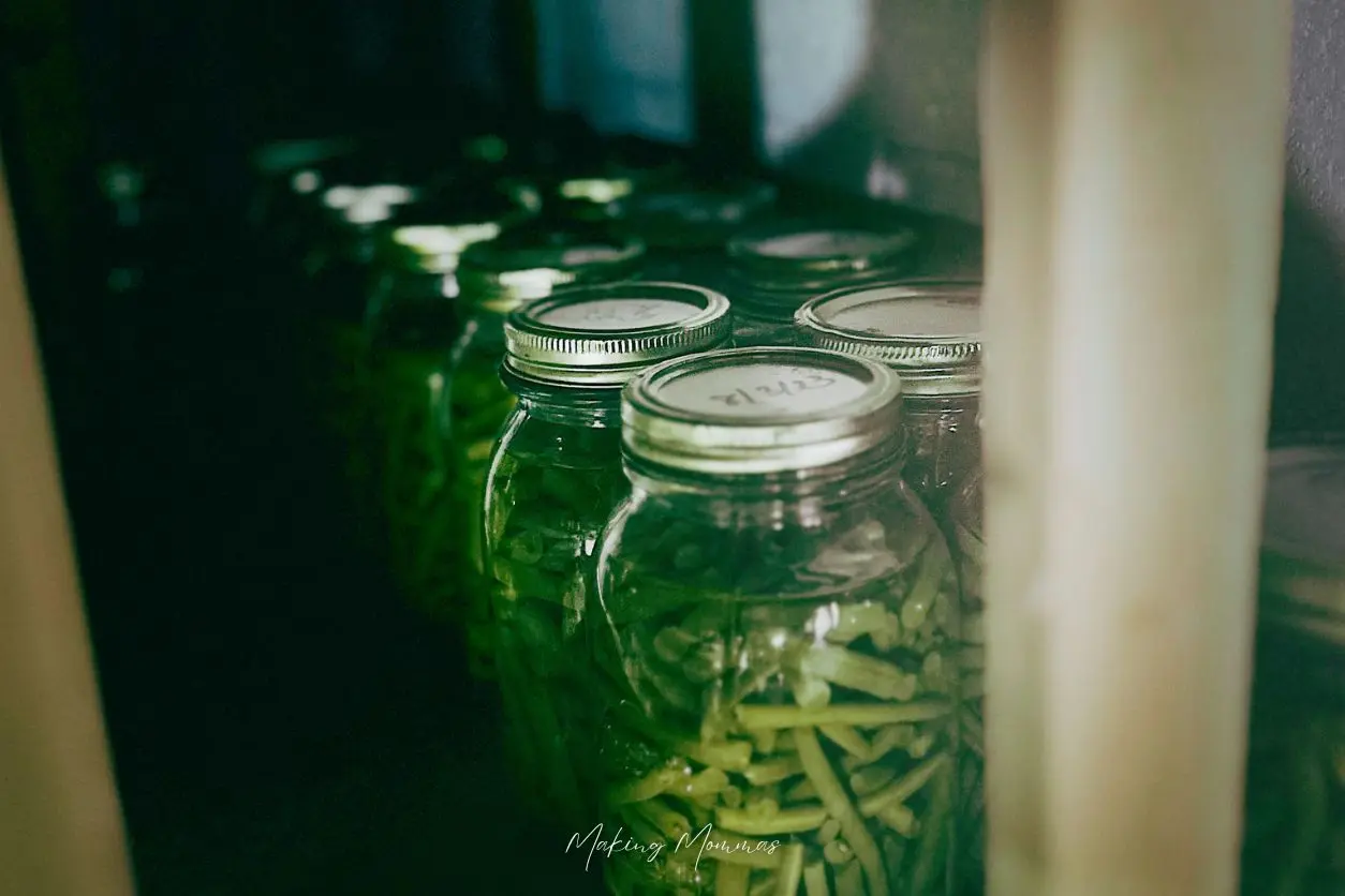 image of jars of green beans lining a shelf in a cellar