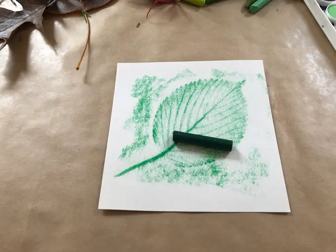 image of a leaf rubbing in a green crayon