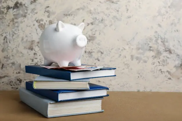 image of a white piggy bank balancing on a pile of books