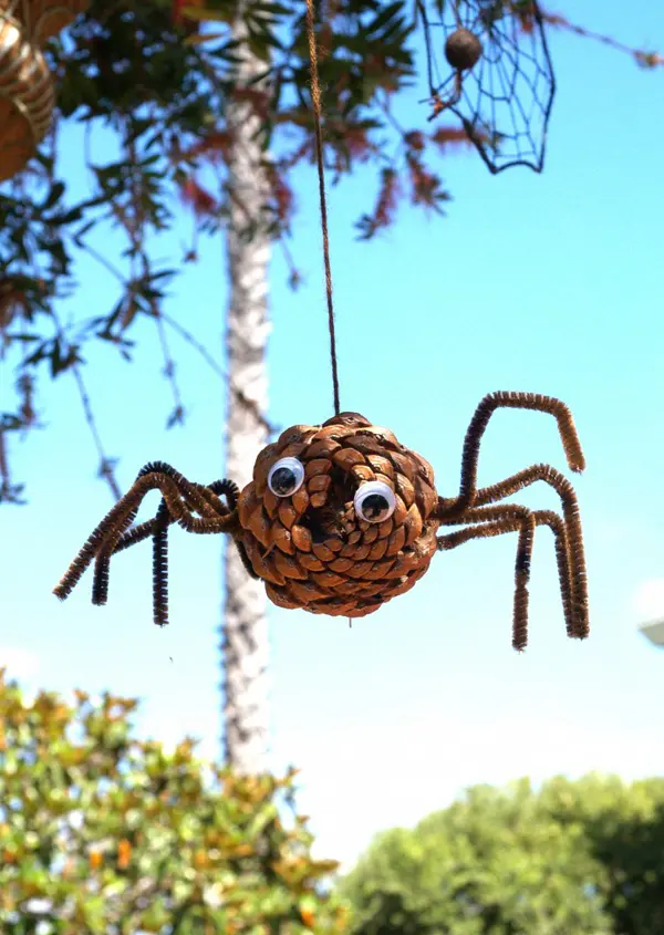 image of a pinecone spider dangling from a tree