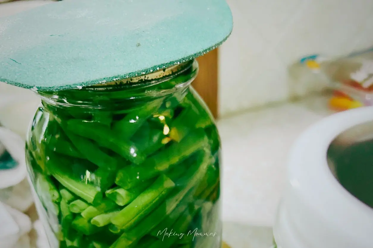 image of a green bean jar with a rubber grippy on top to seal it