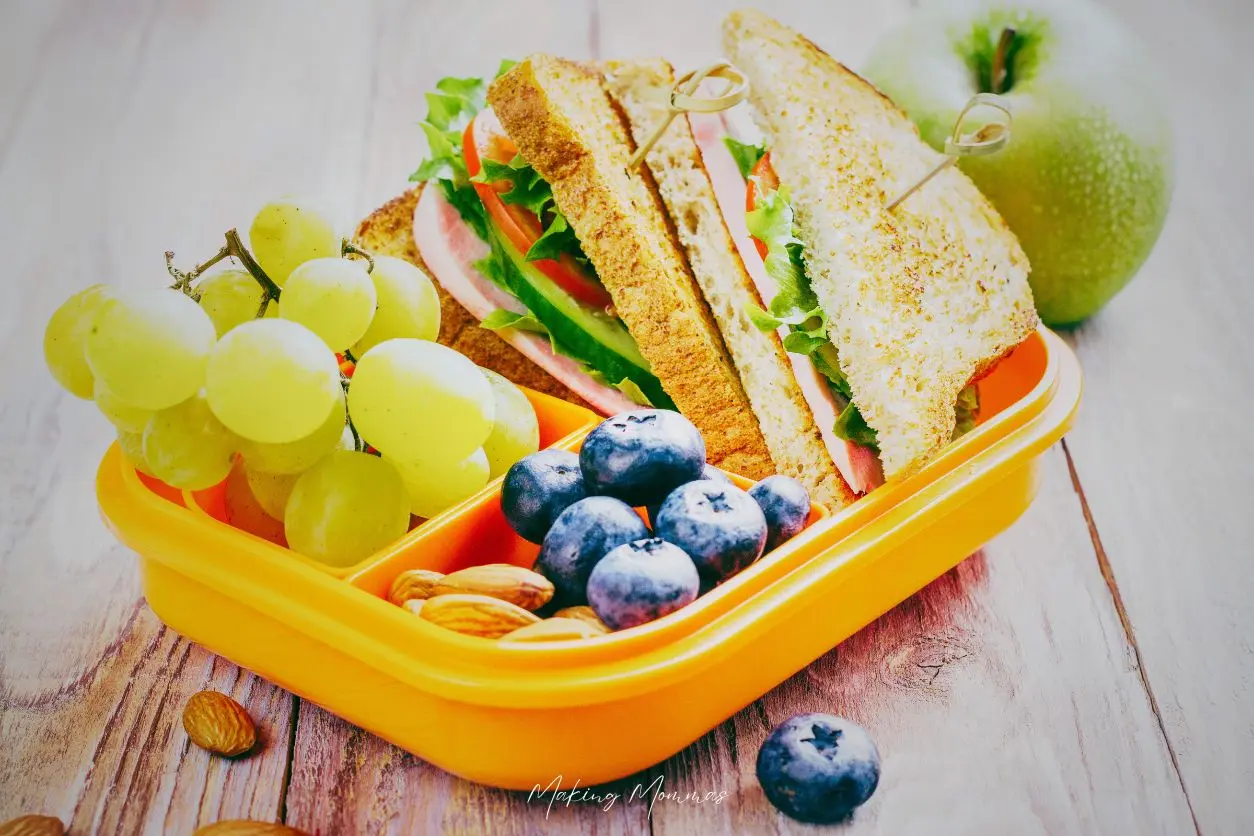 image of a bento box with a sandwich, blueberries, nuts, grapes, and an apple in the background