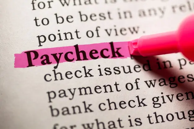 image of the definition of 'paycheck' being highlighted in pink