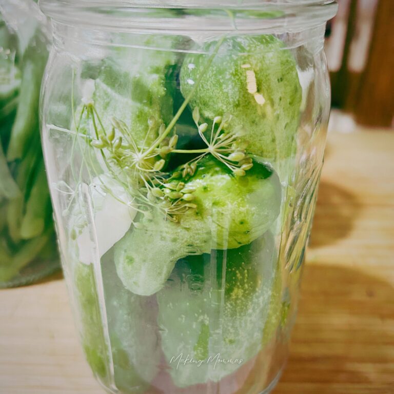image of homemade dill pickles