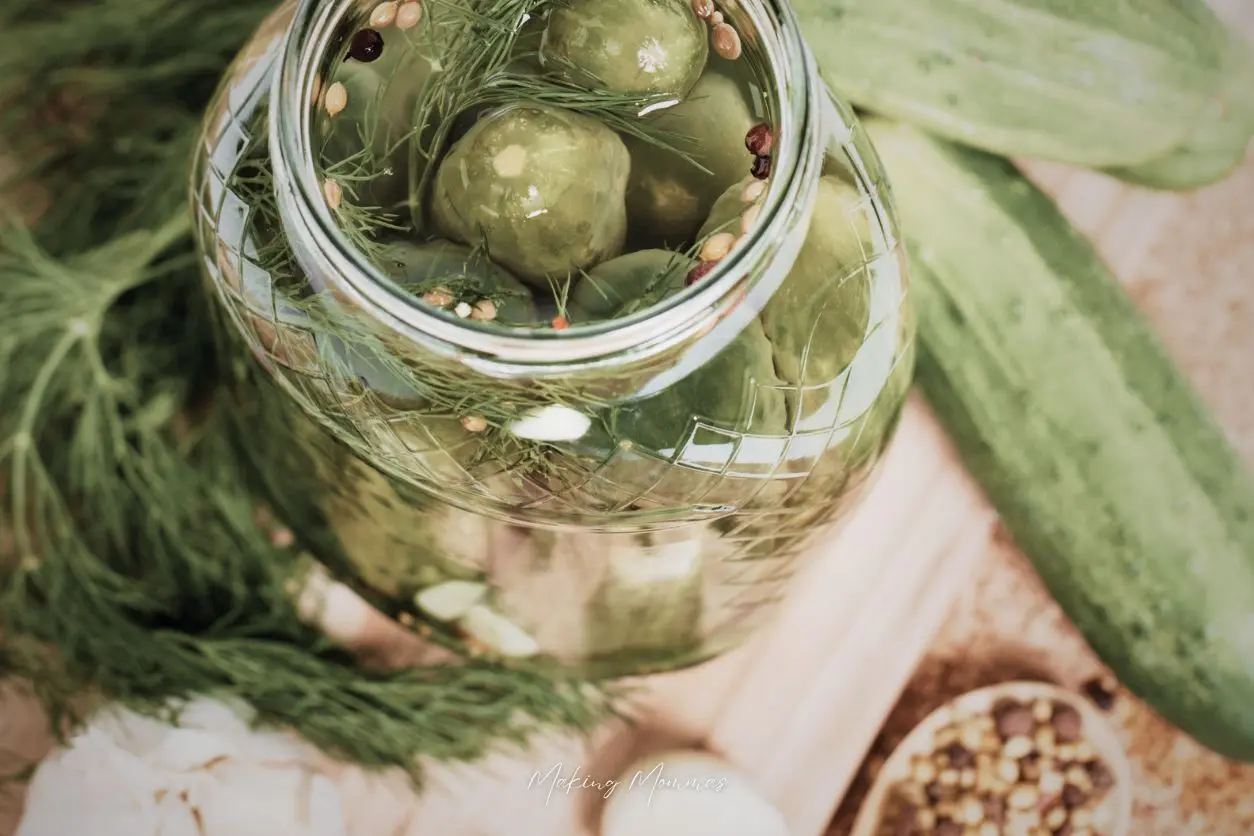 image of a jar of pickles with cucumbers and fresh dill 