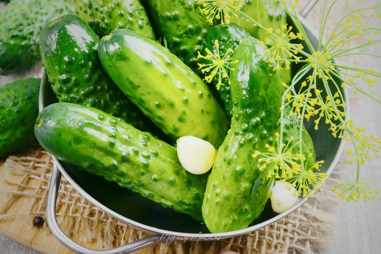 image of baby cucumbers, dill, and garlic cloves sitting in a metal bowl on a table