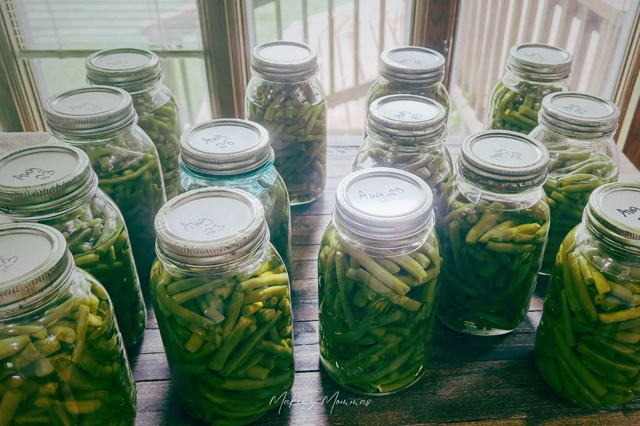 image of jars of green beans on a table